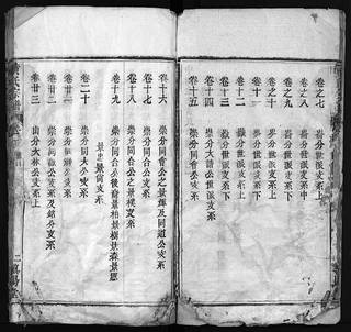 族谱预览