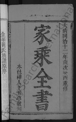 族谱预览