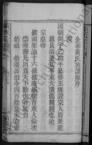 族谱预览