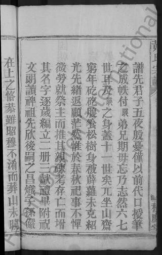 族谱预览