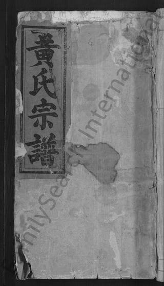 族谱预览