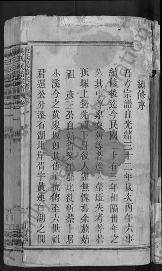 族谱预览