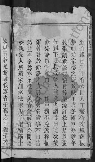 族谱预览