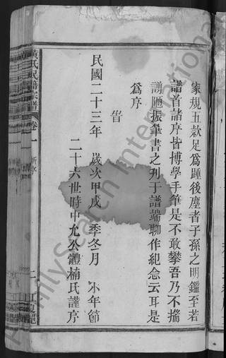族谱预览
