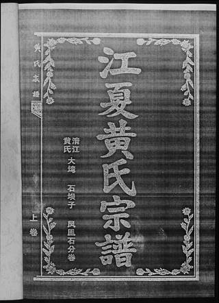 族谱预览