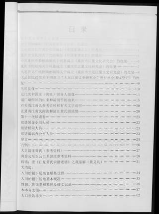 族谱预览