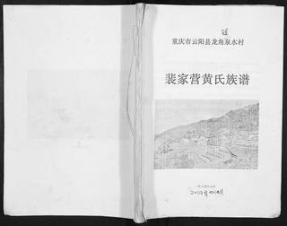 族谱预览