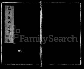 族谱预览