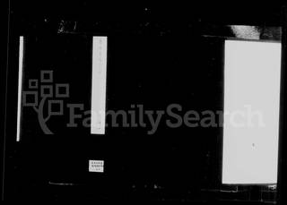 族谱预览