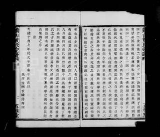 族谱预览