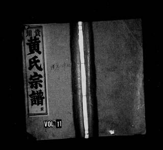 族谱预览
