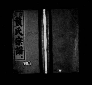 族谱预览