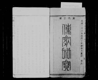 族谱预览