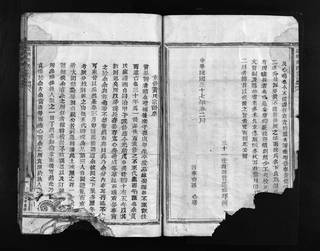 族谱预览