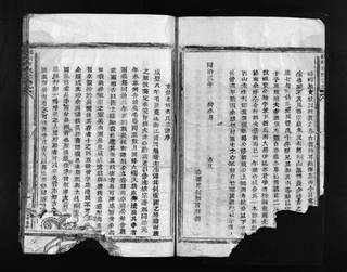 族谱预览