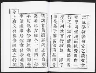 族谱预览