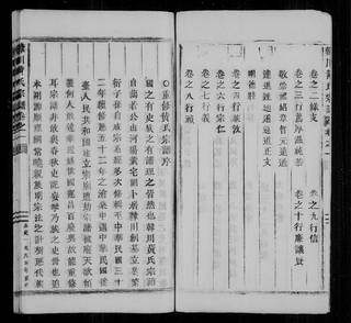 族谱预览
