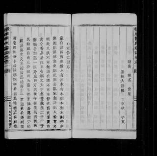 族谱预览