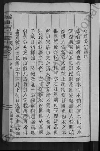 族谱预览