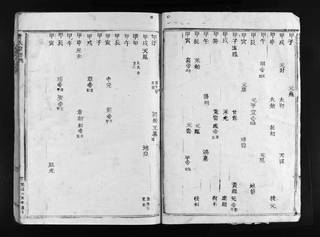族谱预览