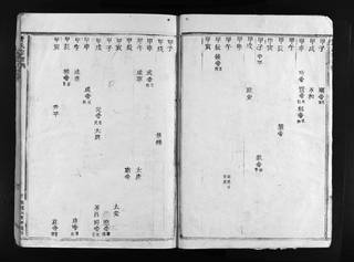 族谱预览