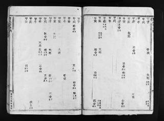 族谱预览