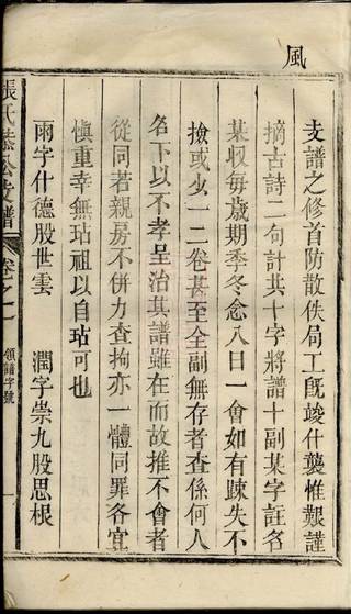 族谱预览