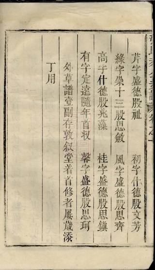 族谱预览