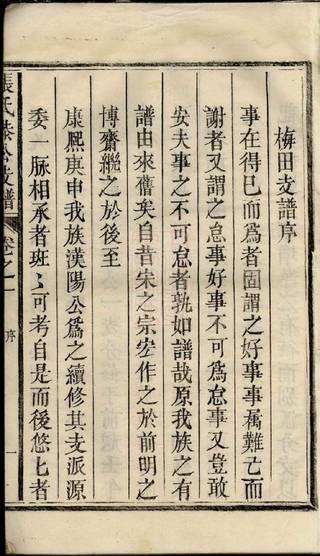 族谱预览