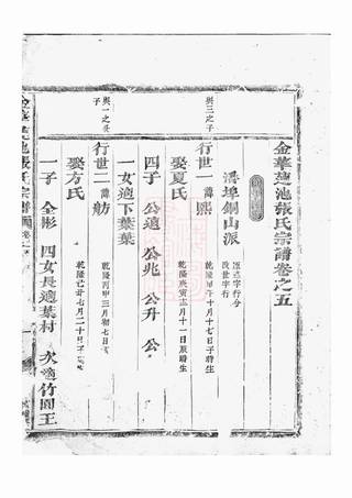 族谱预览