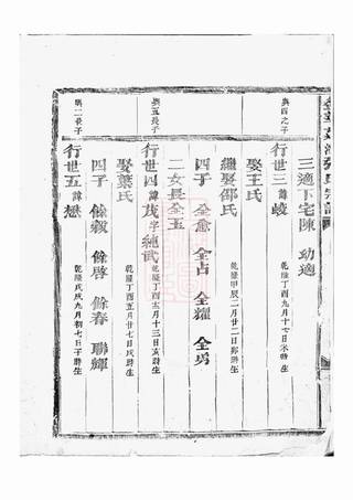 族谱预览
