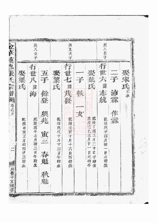 族谱预览