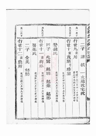 族谱预览