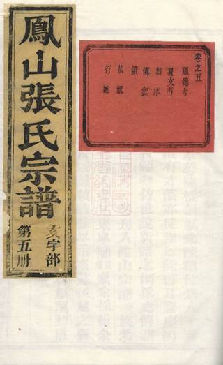 族谱预览