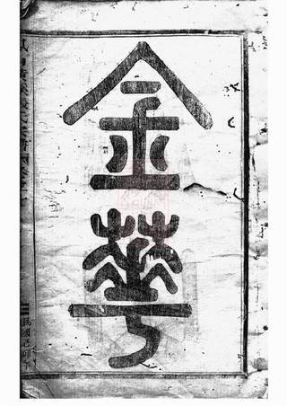 族谱预览