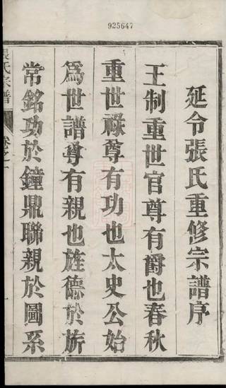 族谱预览