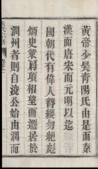族谱预览