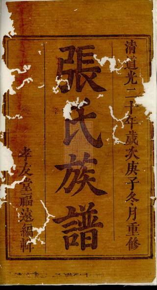 族谱预览