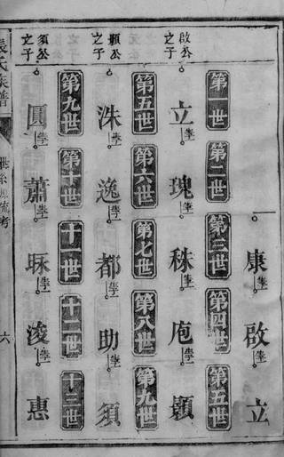 族谱预览