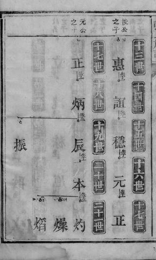 族谱预览