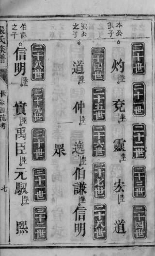族谱预览