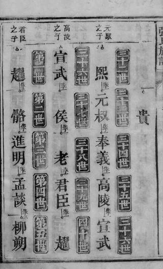 族谱预览