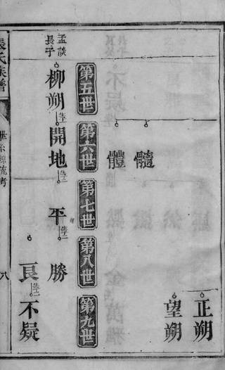 族谱预览