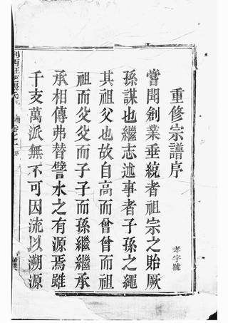 族谱预览