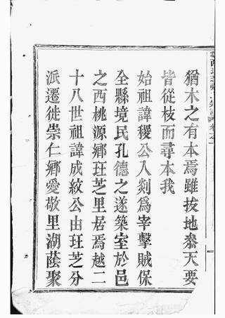 族谱预览