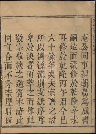 族谱预览
