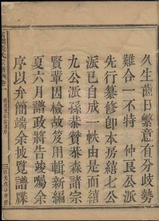 族谱预览
