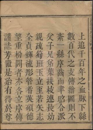 族谱预览
