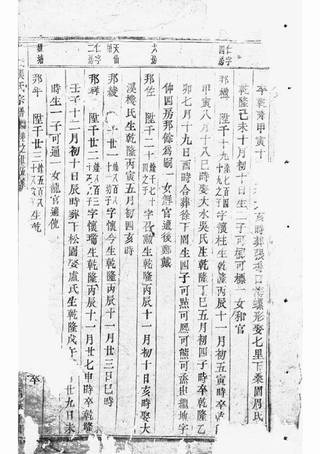 族谱预览