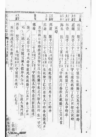 族谱预览